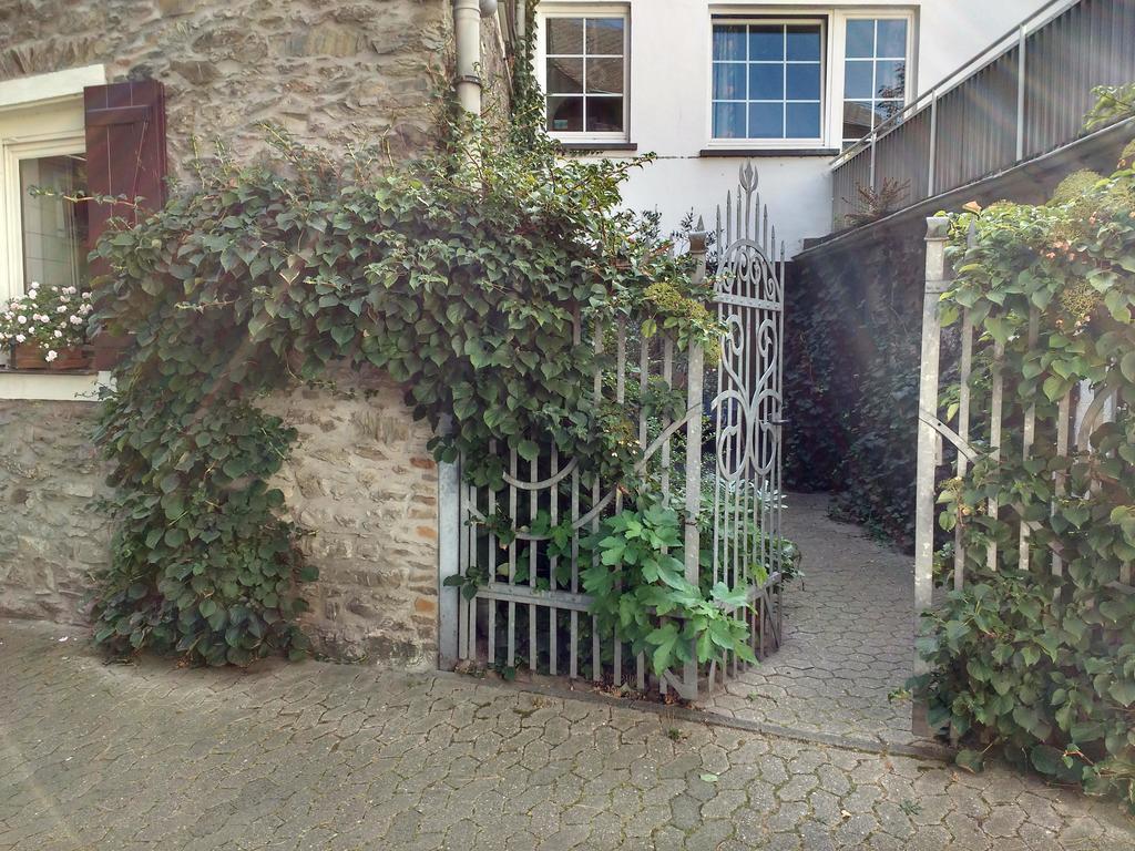 Hotel Garni Altes Winzerhaus Moselschaenke コーバン・ゴンドルフ エクステリア 写真