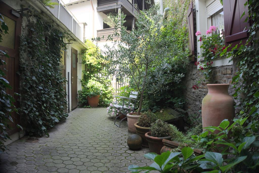 Hotel Garni Altes Winzerhaus Moselschaenke コーバン・ゴンドルフ エクステリア 写真