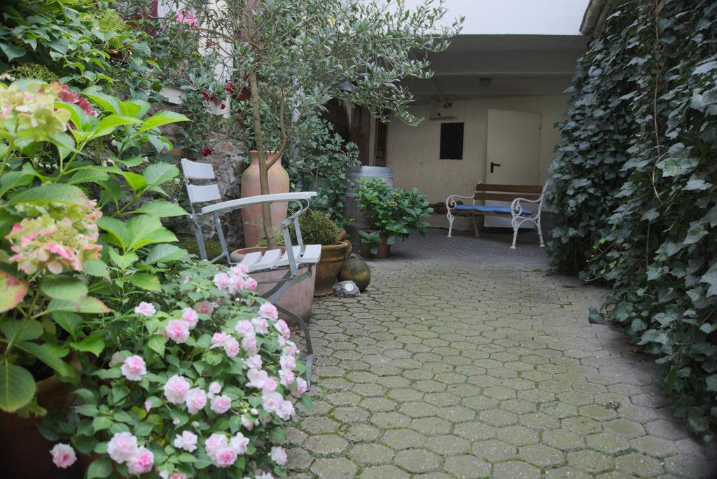 Hotel Garni Altes Winzerhaus Moselschaenke コーバン・ゴンドルフ エクステリア 写真